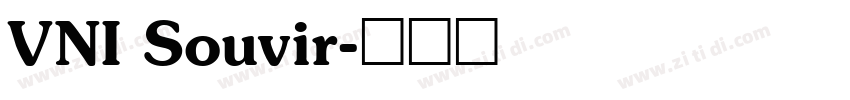VNI Souvir字体转换